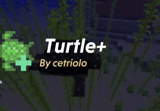 turtle-mod-minrcraft-pe